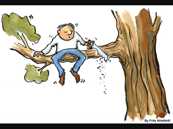 A man sitting on a tree limb and sawing into the part between himself and the tree which will send him crashing down when he's finished